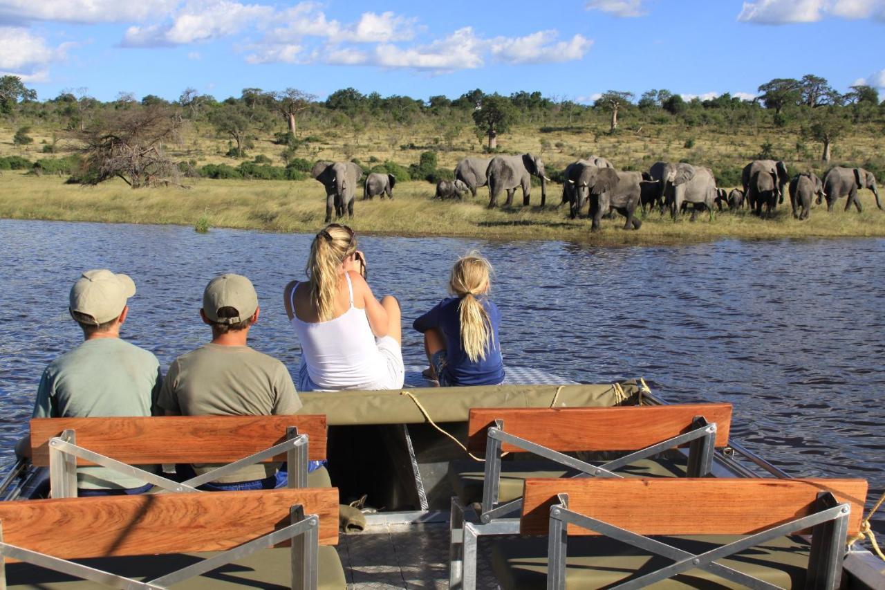 Chobe River Campsite Ngoma Eksteriør bilde